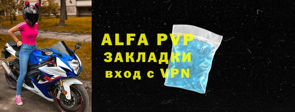 крисы Козельск